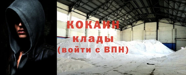 дмт Няндома