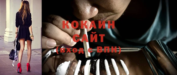 шишки Дедовск