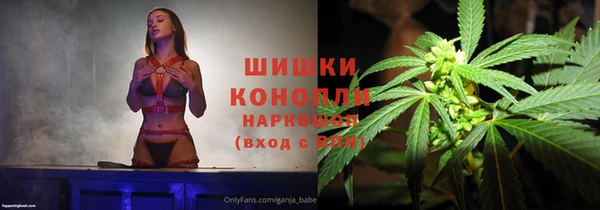spice Нягань