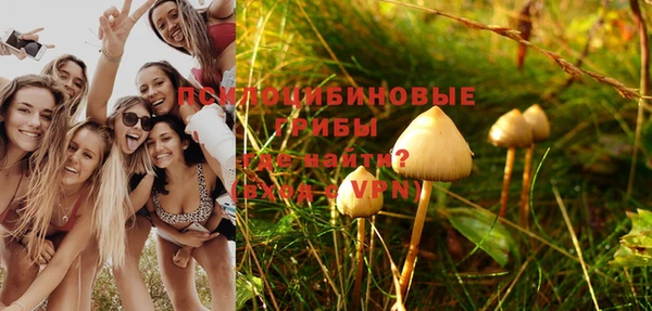 герыч Новодвинск