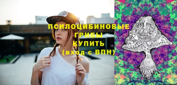 дмт Няндома