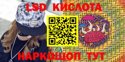 индика Дубна