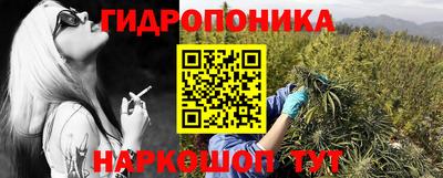 индика Дубна