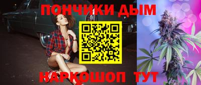 индика Дубна