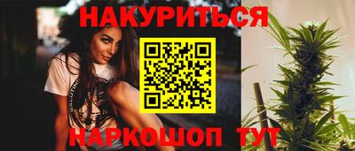 индика Дубна
