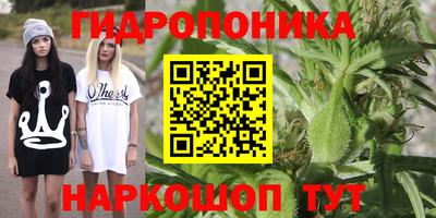 Альфа ПВП Балашиха