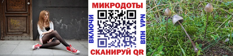 цена   Ступино  Псилоцибиновые грибы ЛСД 