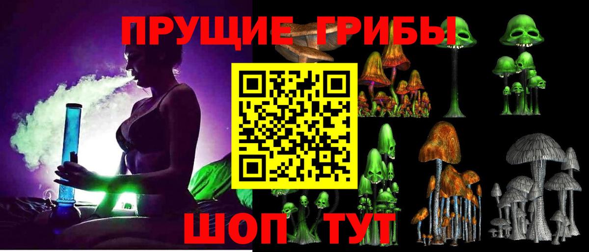 Псилоцибиновые грибы GOLDEN TEACHER  Ступино  Галлюциногенные грибы Magic Shrooms 