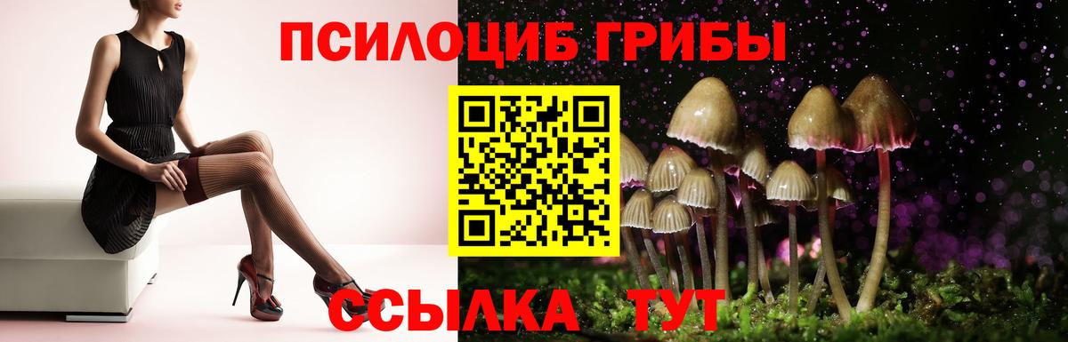 цены   Вход с VPN  Ступино  Псилоцибиновые грибы GOLDEN TEACHER 